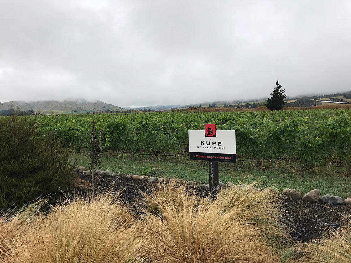 Torbreck purchases premium NZ Pinot Noir specialist Escarpment Vineyard