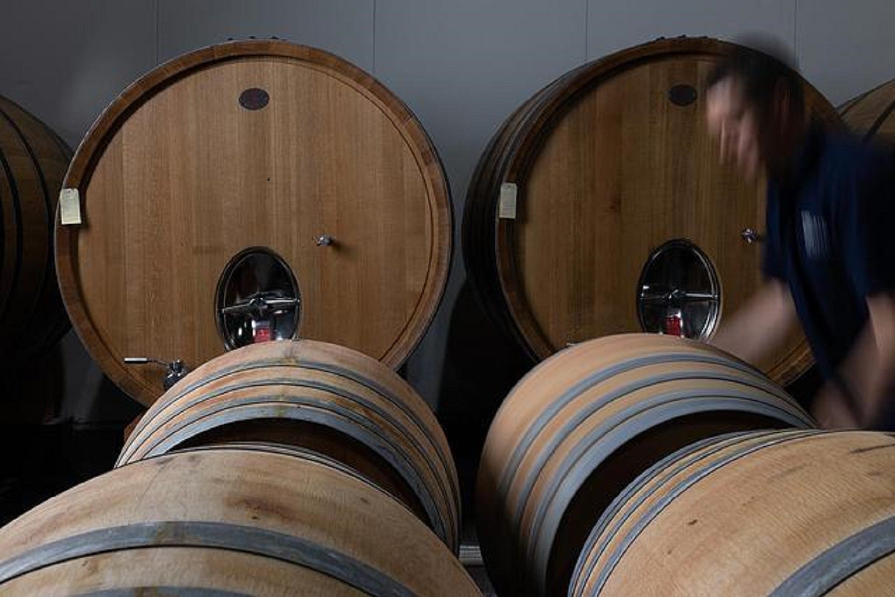 WINE SPECTATOR | NOVEMBER 2023