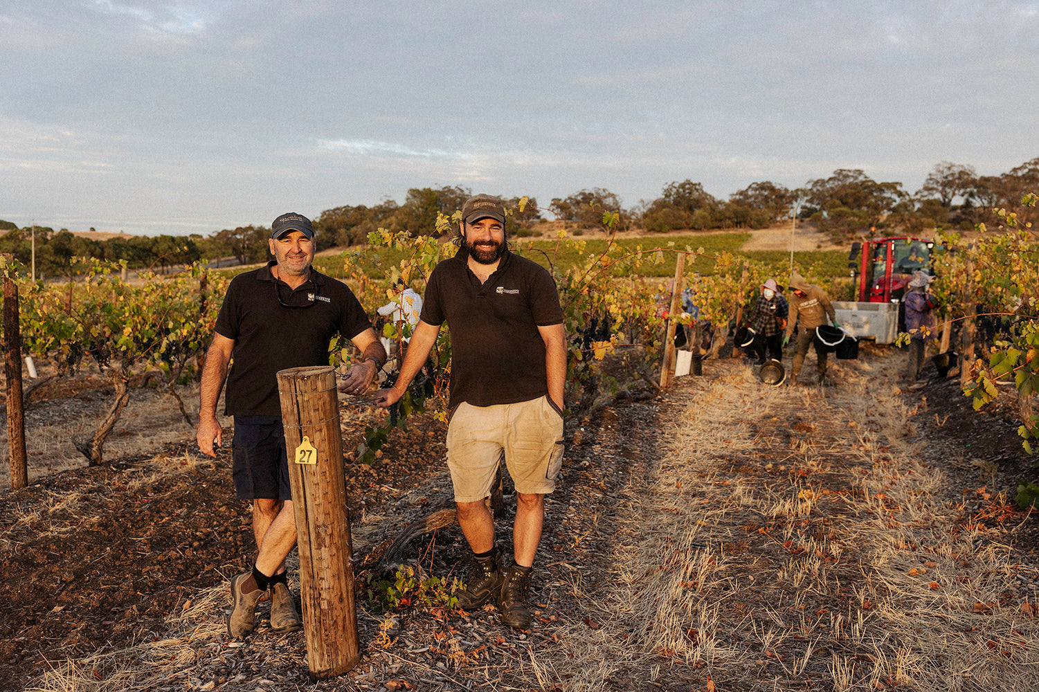 Two men in a vineyard with equipment and people in the background