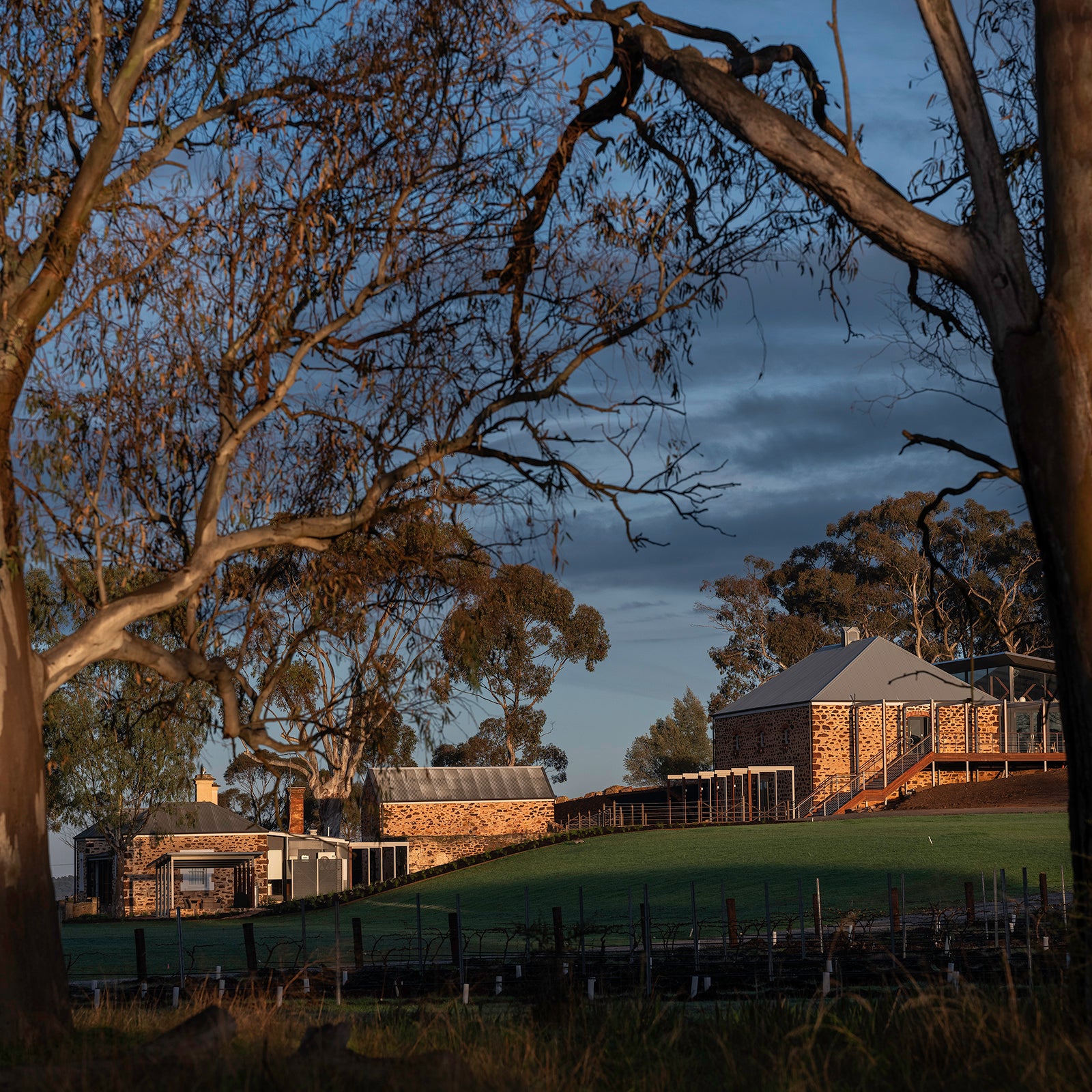 Torbrecks Hillside Estate at night with trees and a cloudy sky