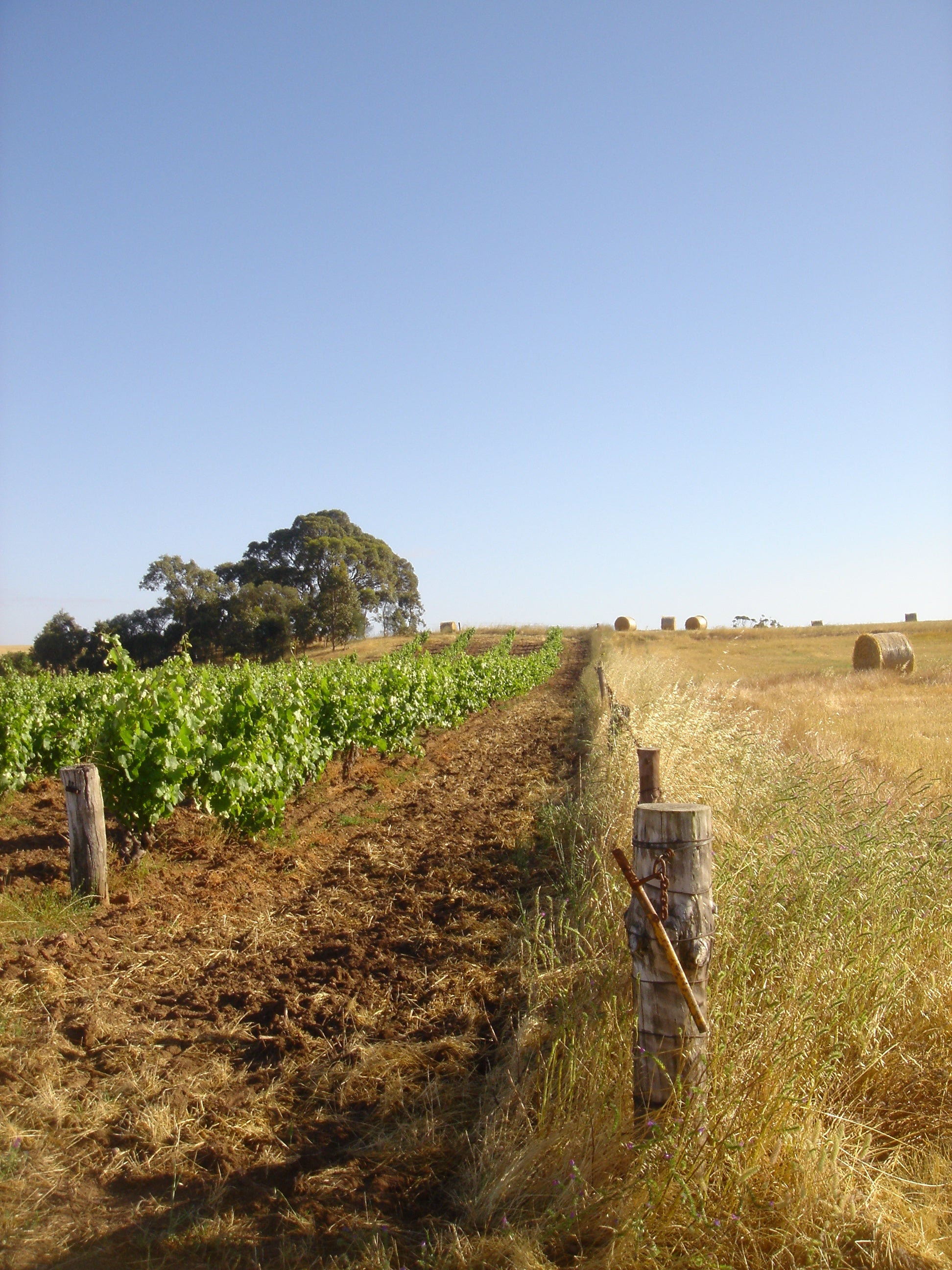 Tyson Stelzer- The Barossa Magazine June 2019