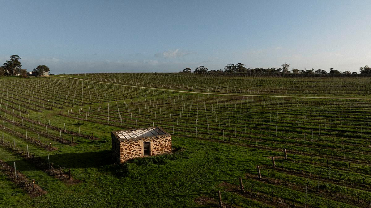 HALLIDAY WINE COMPANION | 2027