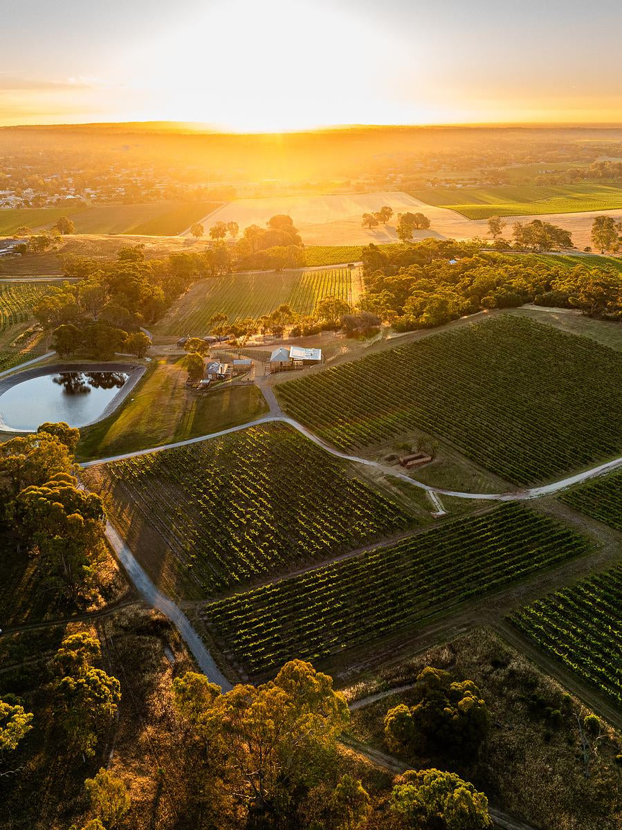 WINE ADVOCATE | APRIL 2026