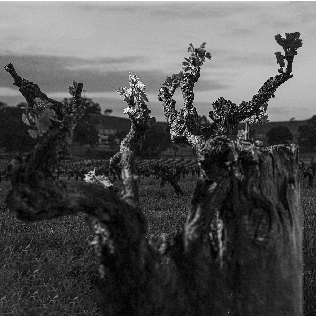 REAL REVIEW | JULY 2025