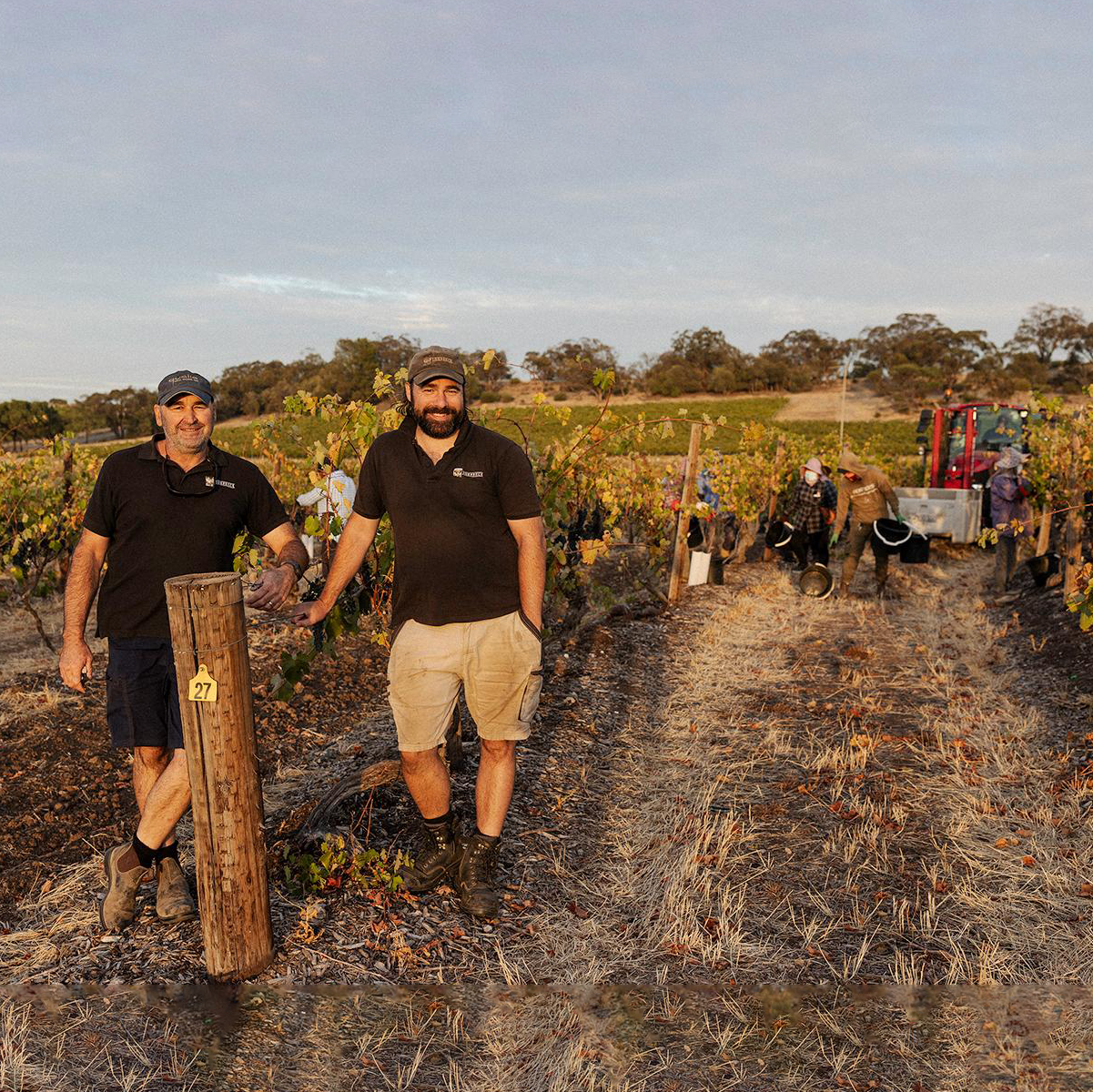 WINE SPECTATOR | SEPTEMBER 2025