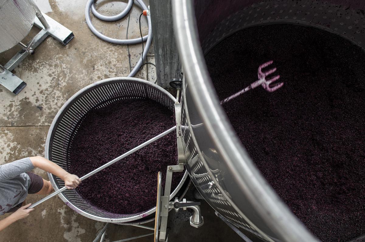 The Wine Advocate | April 2023